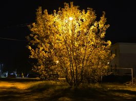 Октябрь: найти моменты для себя. Фоторепортаж