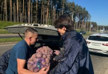 Молодежь Минской области помогает пожилым людям с доставкой продуктов с сельхозярмарок