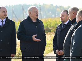 Президент Беларуси Александр Лукашенко в ходе рабочей поездки в Минский район ознакомился с проведением эксперимента по повышению плодородия песчаных почв
