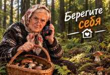 Безопасность в лесу: простые правила, которые могут спасти жизнь