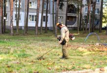 Почему нужно позаботиться о покосе травы осенью