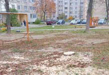 Кто вправе спилить дерево на землях общего пользования? И каков алгоритм этой работы? Ответили в УП «Жилье»