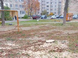 Кто вправе спилить дерево на землях общего пользования? И каков алгоритм этой работы? Ответили в УП «Жилье»