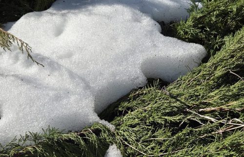 Весна, солнце и тепло