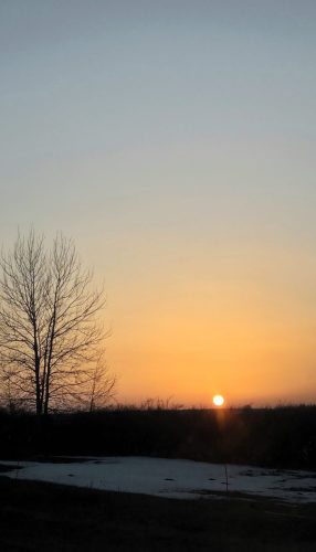 Весна, солнце и тепло