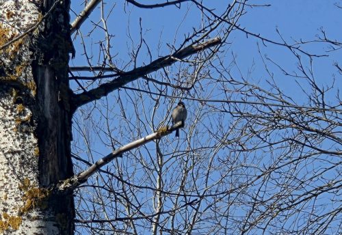 Весна, солнце и тепло